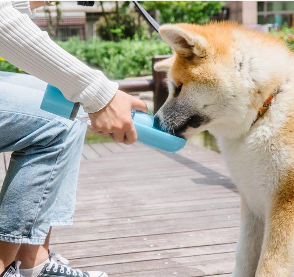 Doggie Bottle™ On the go water + snack feeder - Furry Mates Co