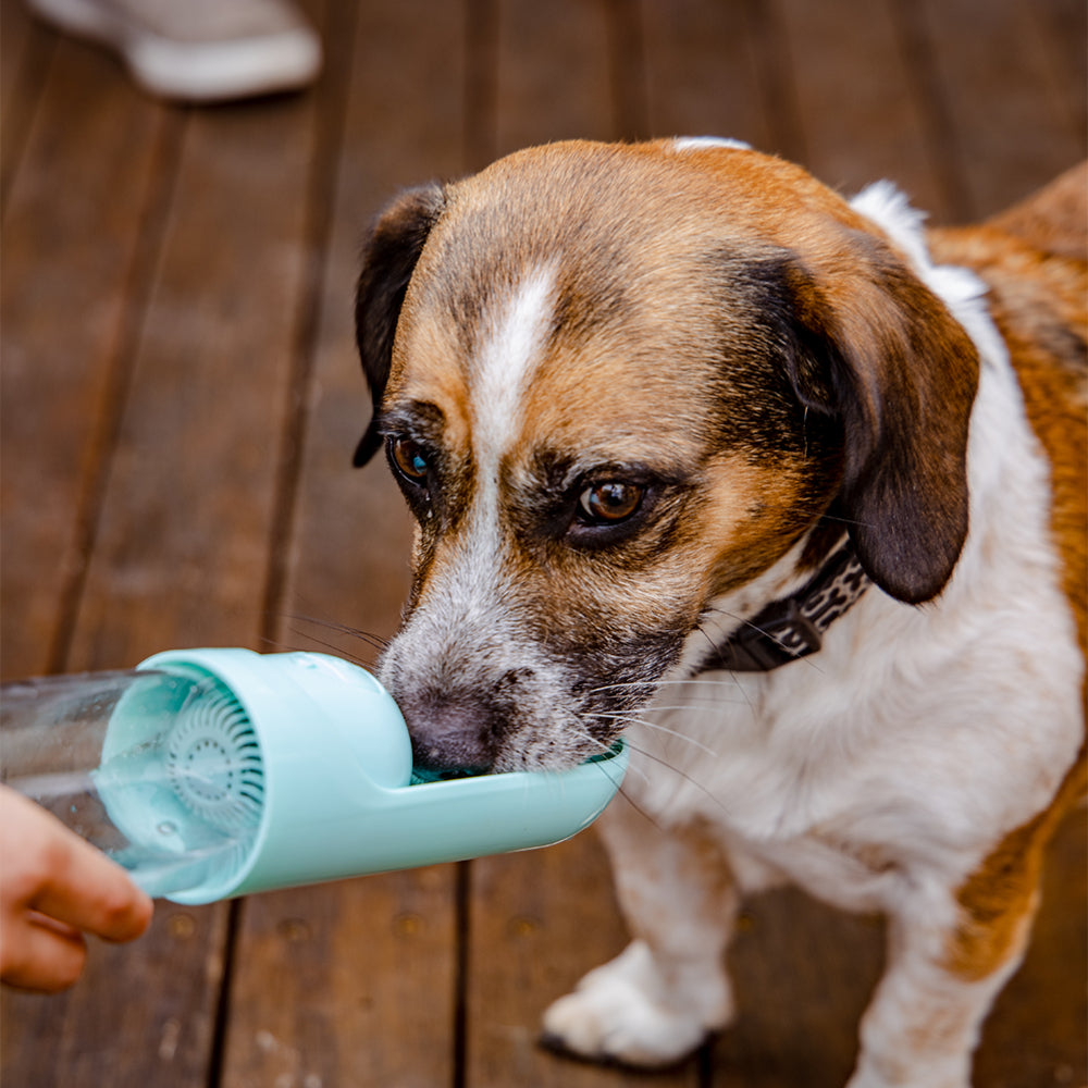 Doggie Bottle™ On the go water + snack feeder - Furry Mates Co