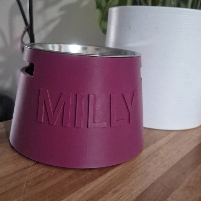 Custom Name Raised Pet Bowl - Round - Single Colour