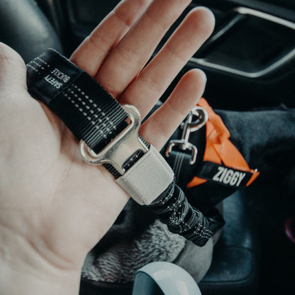 BLACK FRIDAY BUNDLE - Adjustable Leash + Doggie Bottle - Furry Mates Co